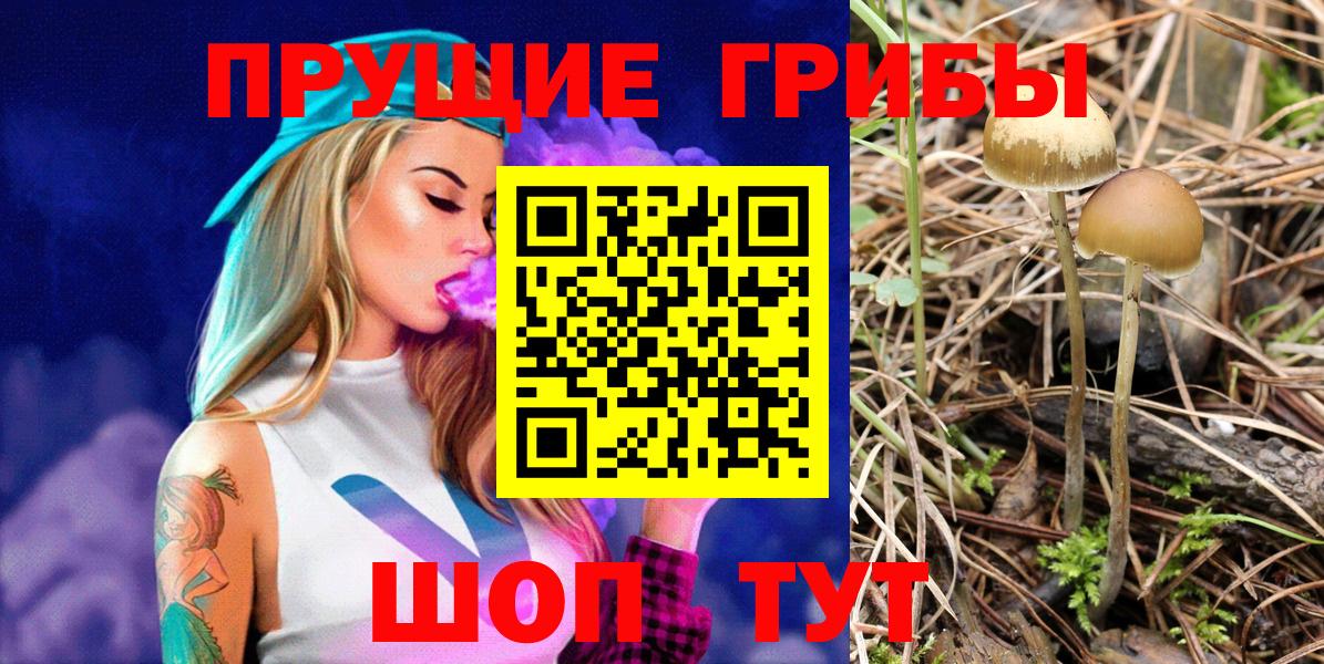 где продают наркотики  Псилоцибиновые грибы прущие грибы  Псилоцибиновые грибы MAGIC MUSHROOMS  Вход с VPN  Набережные Челны 